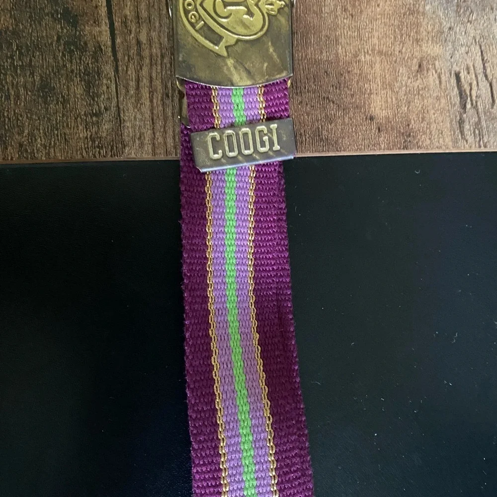 Vintage COOGI L Retro Purple Gold Metallic Cotton Adjustable Striped Belt 31”L